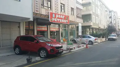 asaf pet shop