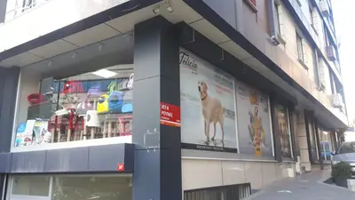 Puppy Pet Home