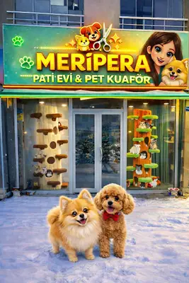 Meripera Pet Kuaför Kayseri