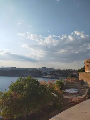 Muratpaşa Belediyesi Veteriner İşleri Müdürlüğü