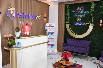 VitaminVet Veteriner Kliniği