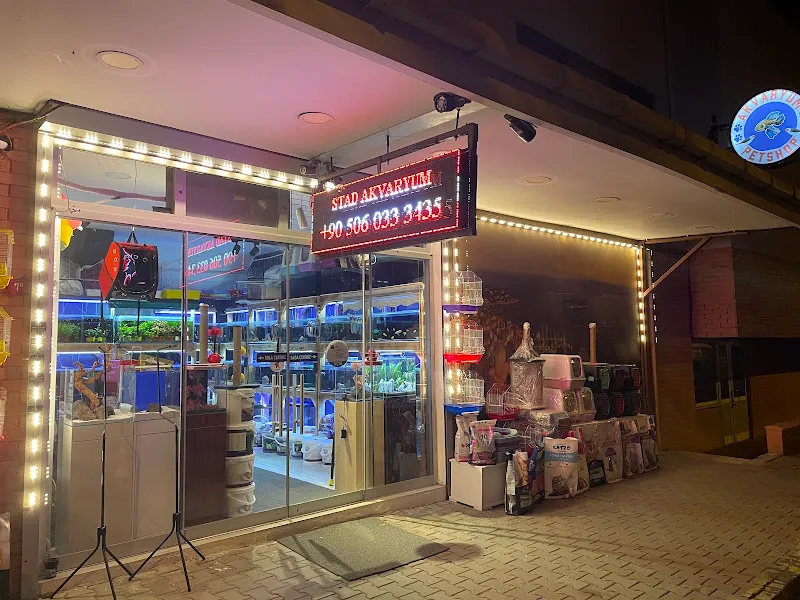 Maltepe Stad Akvaryum / Petshop foto 2