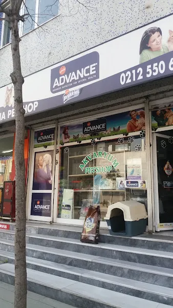 yenibosna petshop akvaryum ve kuş galerisi foto 1