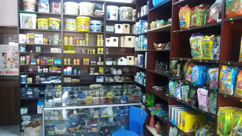 yenibosna petshop akvaryum ve kuş galerisi foto 2