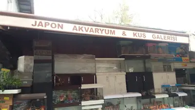 Japon Akvaryum & Kuş Galerisi