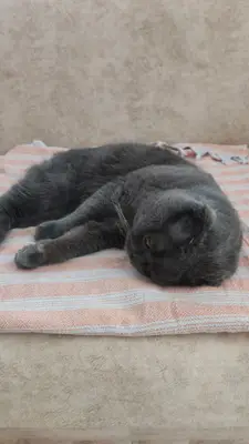 Bayhan Veteriner kliniği