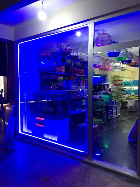 delfin petstore foto 2