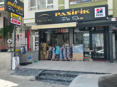 Pasifik PetShop & Akvaryum