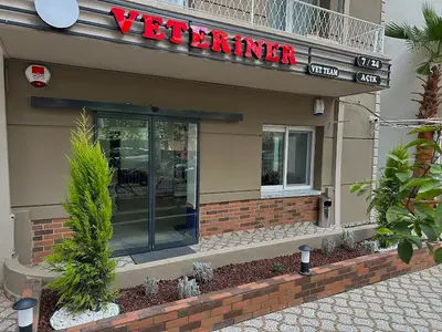 Vet Team Veteriner