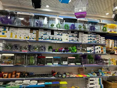 Dost Petshop