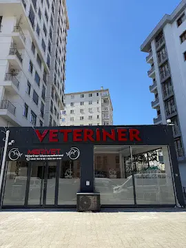 MERİVET ® | Veteriner Kliniği • 7/24 ACİL • KADIKÖY