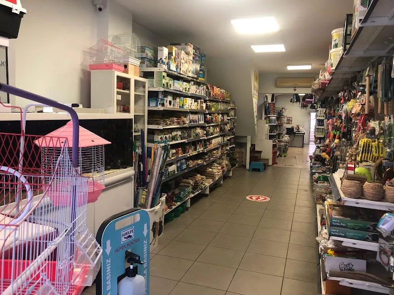 Petshopistan foto 2