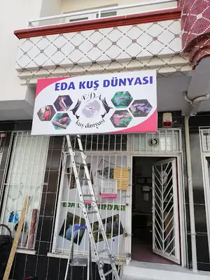 Eda kuş dünyası