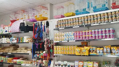 DOST PETSHOP