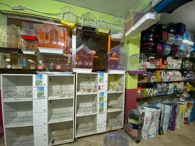 YENİDOĞAN PETSHOP
