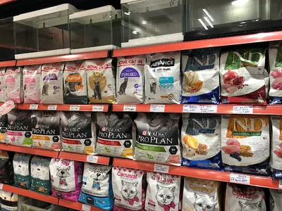 Konya Petclub