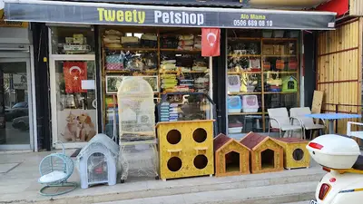 Tweety petshop