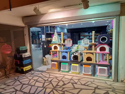 PET HOUSE-PETSHOP
