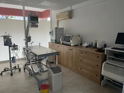 Maneki Veteriner Kliniği