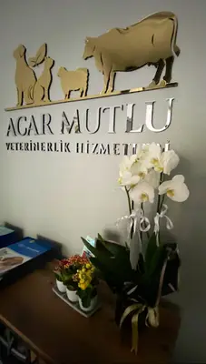 Acar Mutlu Veteriner Kliniği