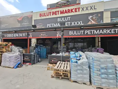 Bulut Pet Market XXL