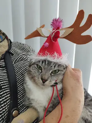 La Loba Veteriner Kliniği