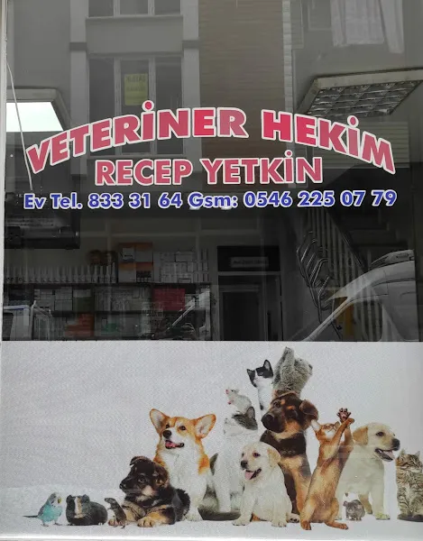Yetkin Veteriner Kliniği foto 2
