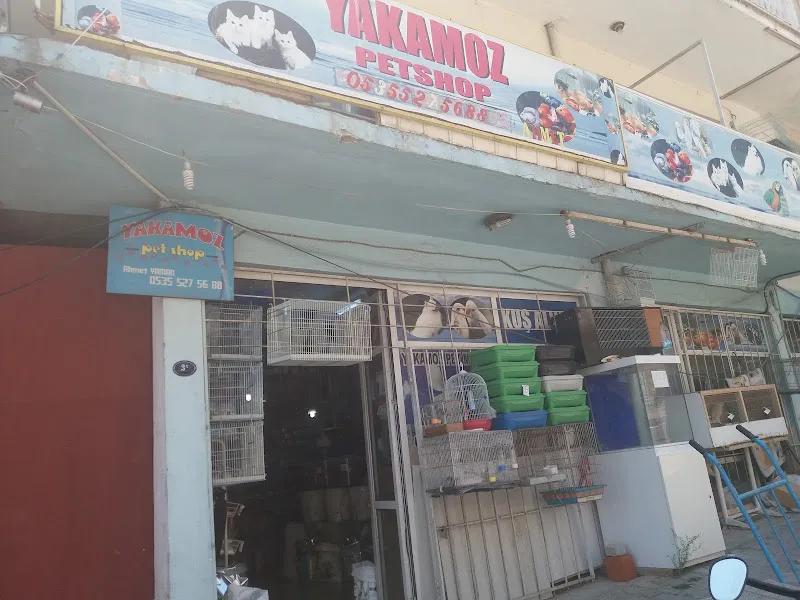 Yakamoz Petshop foto 1