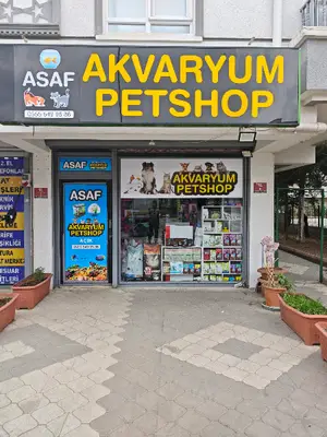 ASAF AKVARYUM PETSHOP
