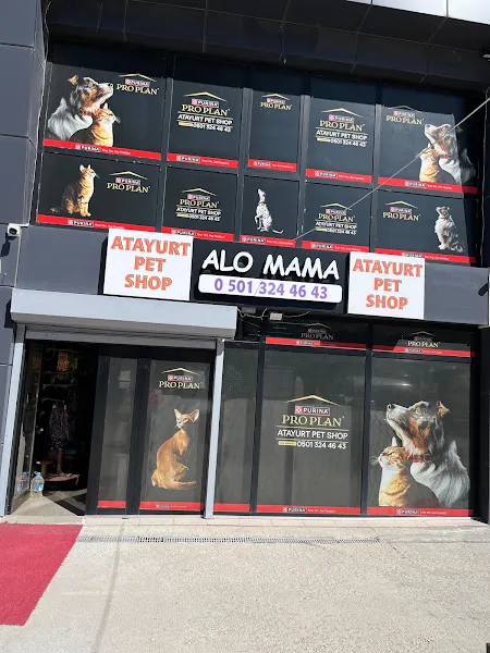 YAPRACIK ATAYURT PET SHOP foto 1
