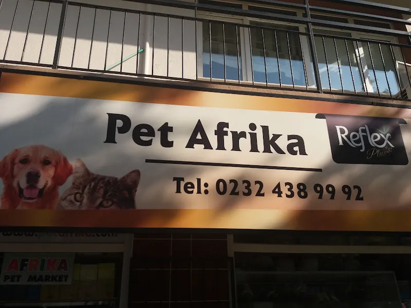 Pet Afrika foto 1