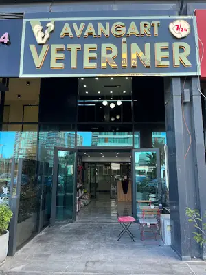 Avangart Veteriner Kliniği