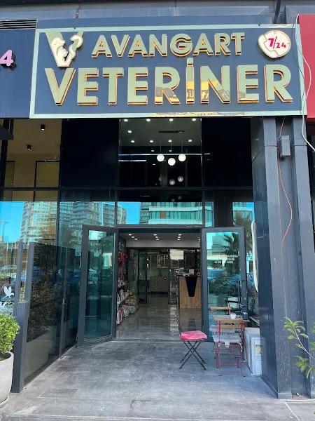 Avangart Veteriner Kliniği foto 1