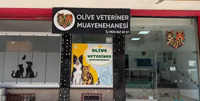 Olive Veteriner Kliniği Zeytinburnu