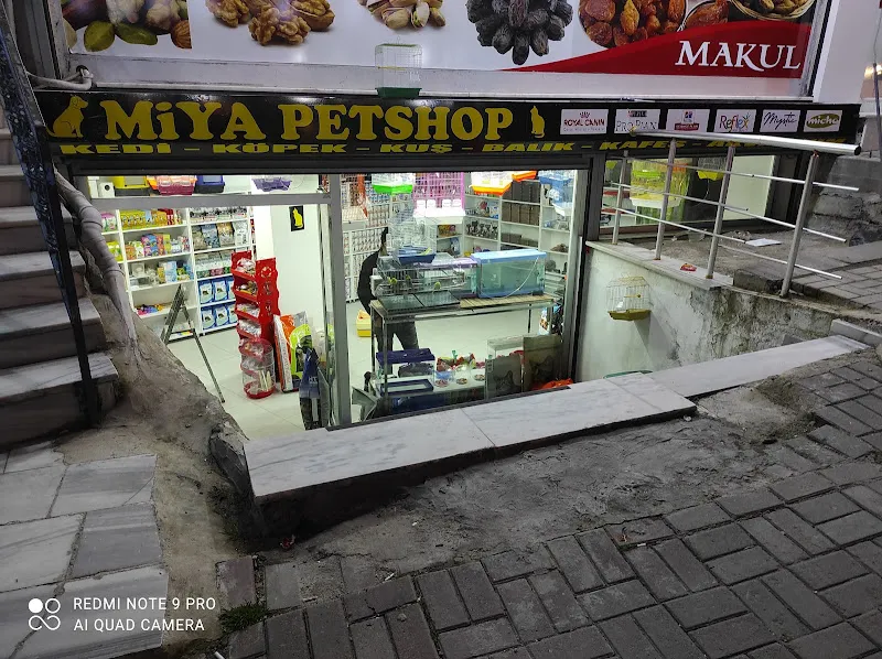 Miya Petshop foto 1