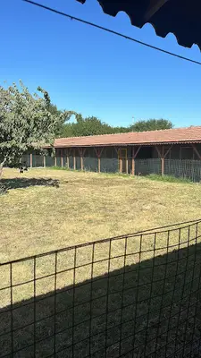 MEGADOG KÖPEK EĞİTİM MERKEZİ & PANSİYON