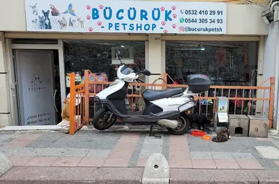 Bücürük Petshop
