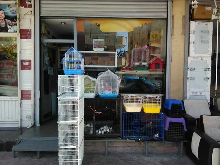 Anemon Petshop Adana foto 2