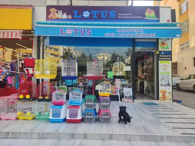 Lotus Akvaryum İller Bankası Şubesi