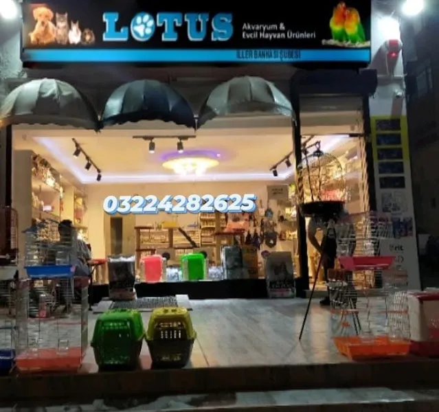 Lotus Akvaryum İller Bankası Şubesi foto 2