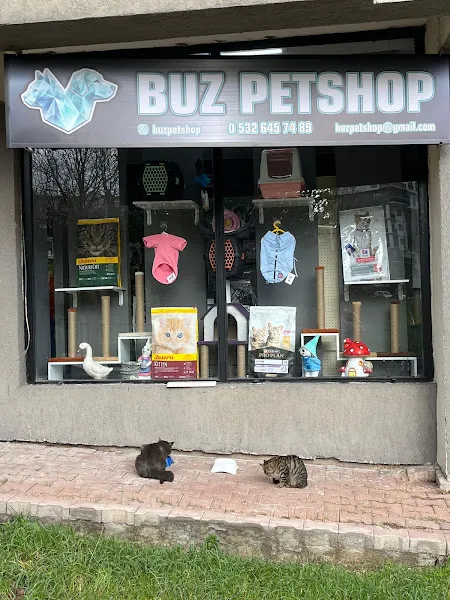Buz Petshop foto 1