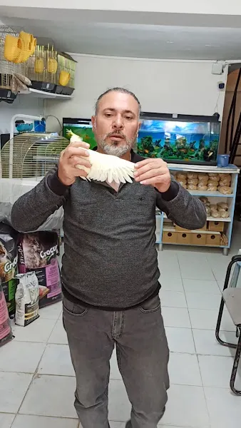 ANKA KUŞ EVİ foto 2