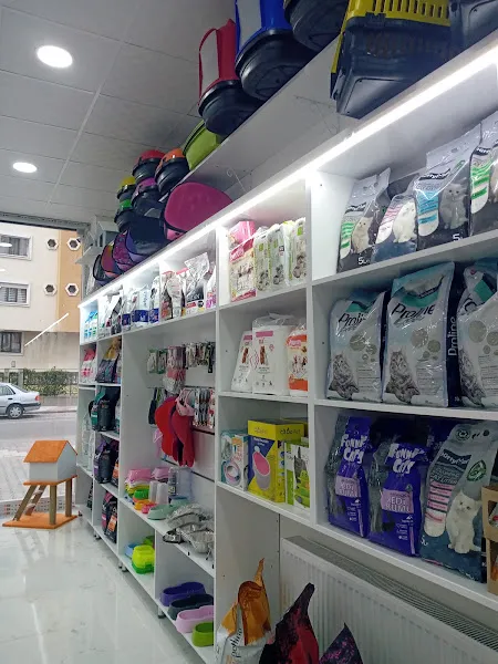 Melid petshop foto 2