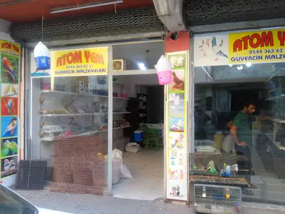 ATOM YEM