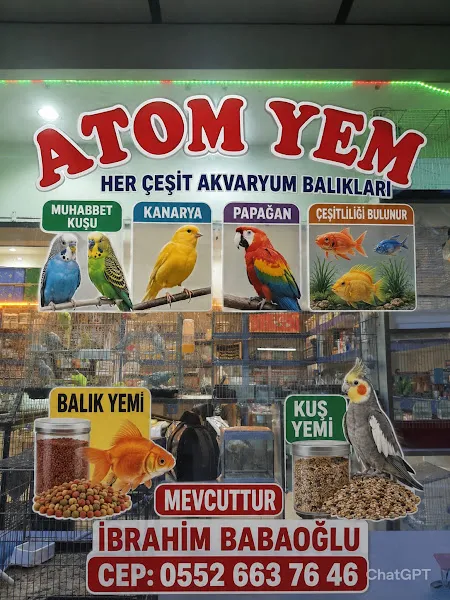 ATOM YEM foto 2