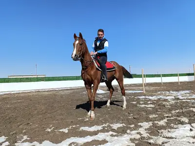 Karapınar Binicilik & Tay Eğitim Merkezi