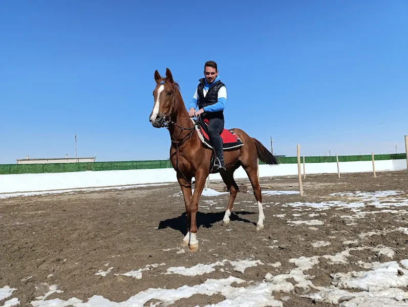 Karapınar Binicilik & Tay Eğitim Merkezi foto 2