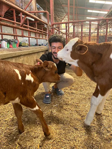 turgutlu tekin veteriner kliniği foto 1