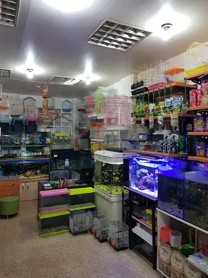 Didim Akvaryum ve Kuş Galerisi
