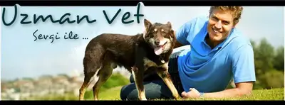 Uzman Veteriner Muayenehanesi